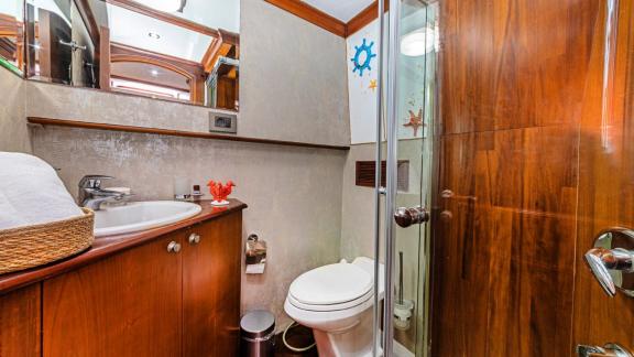 Ahşap panelli, duşlu ve modern olanaklara sahip şık banyo.